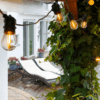Cosy partyslinga - startpaket